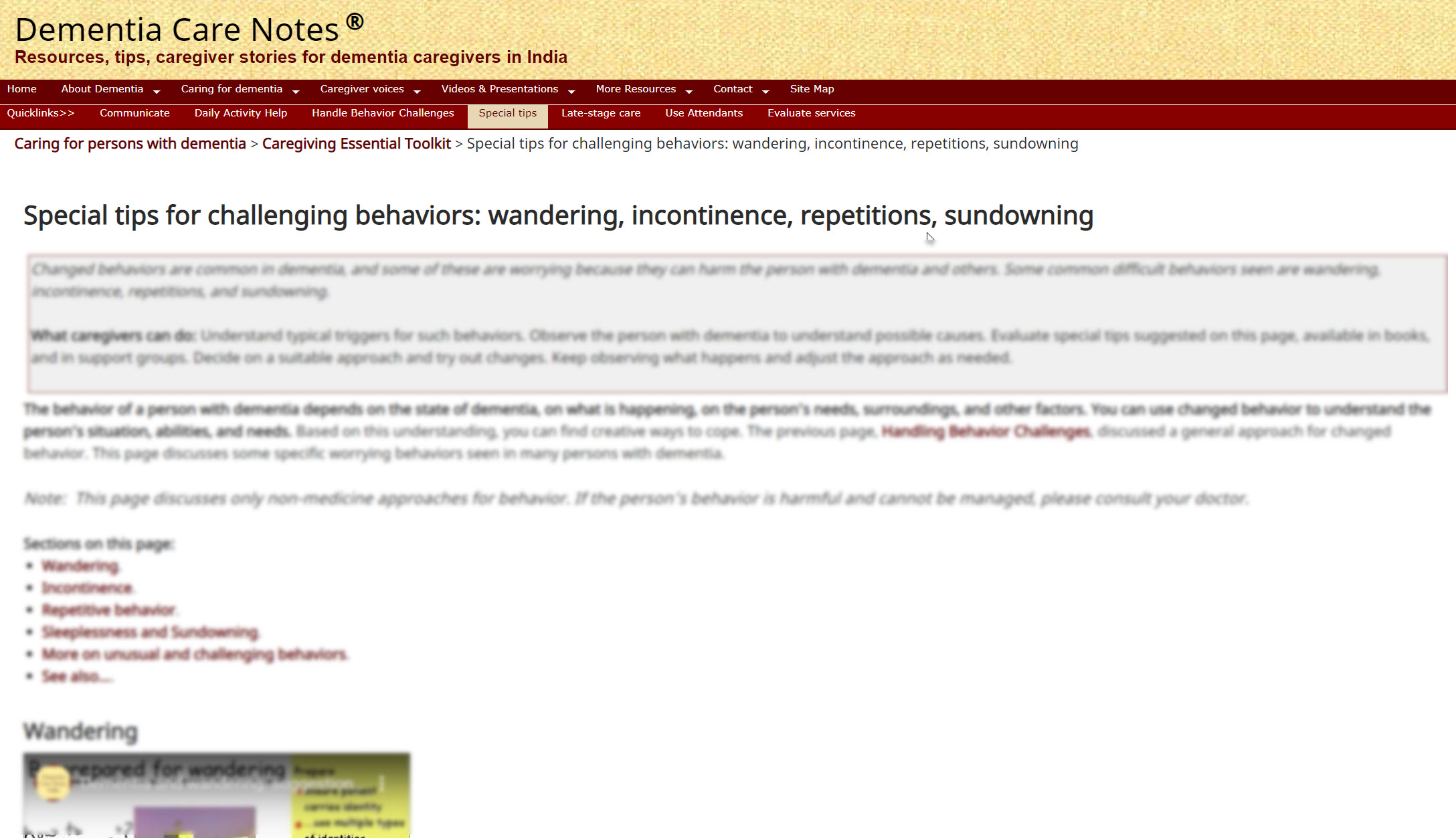 Sleeplessness and Sundowning